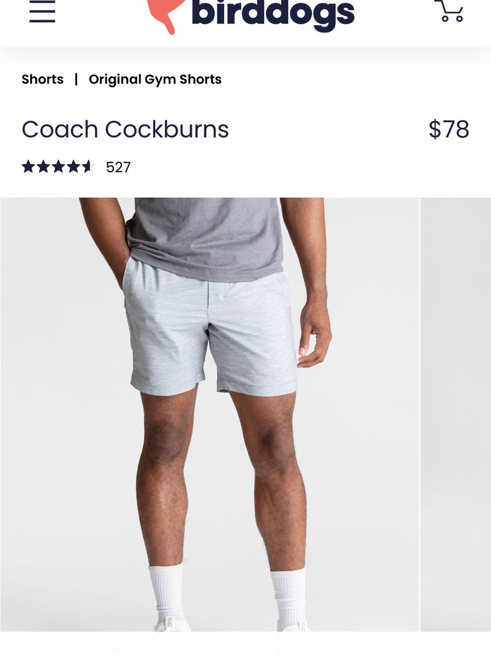Birdogs L lined shorts like new